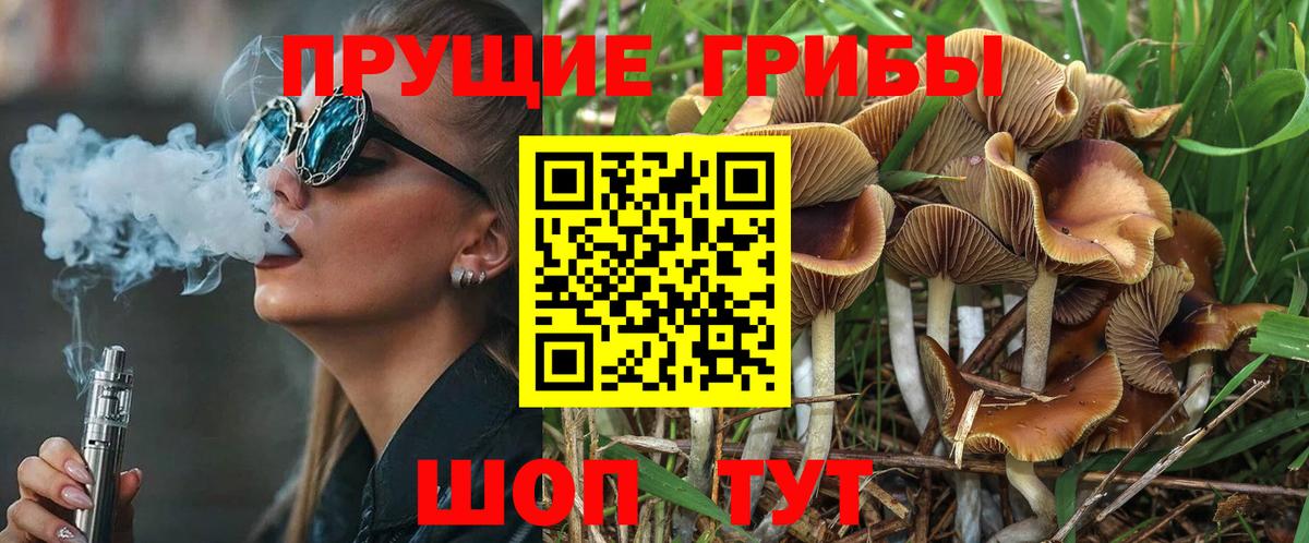 закладка  Псилоцибиновые грибы Psilocybine cubensis  Апатиты  Вход с VPN  Галлюциногенные грибы мухоморы 